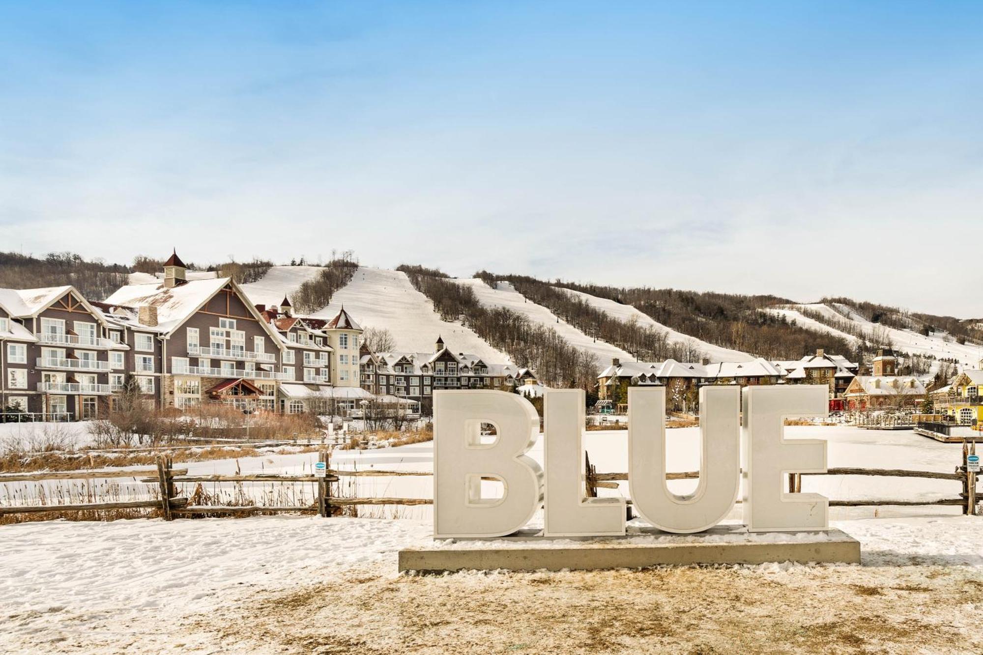 Mountainwalk Apartment Blue Mountains Ngoại thất bức ảnh